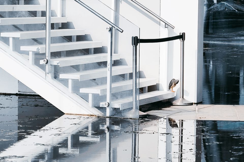 Floodwater covering an indoor floor at the foot of a staircase