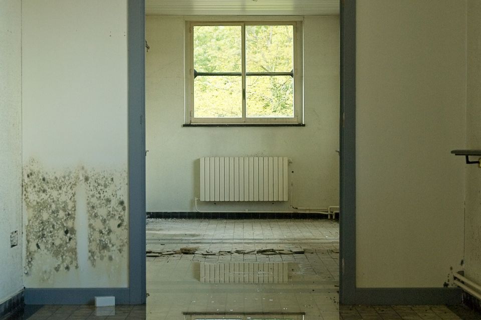 Standing water covering the floor of a room